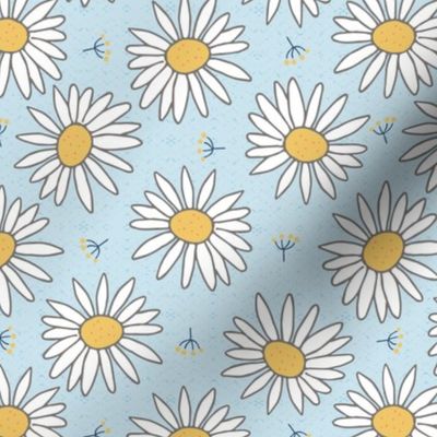 white daisies on light blue | medium 