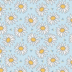 white daisies on light blue | large 