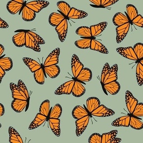 (small scale) Monarch butterflies - sage - C24