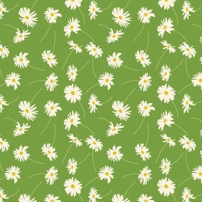 Daisy Scatter Spring Green  LARGE