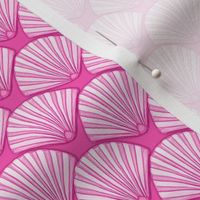 seashell scallop shells in violet pink 