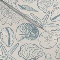 hand-drawn seashells // light denim on ivory