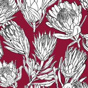 Protea Candy Red Large Scale