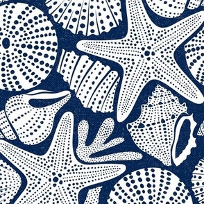 Ocean Floor - Summer Nautical Seashells Navy White Regular