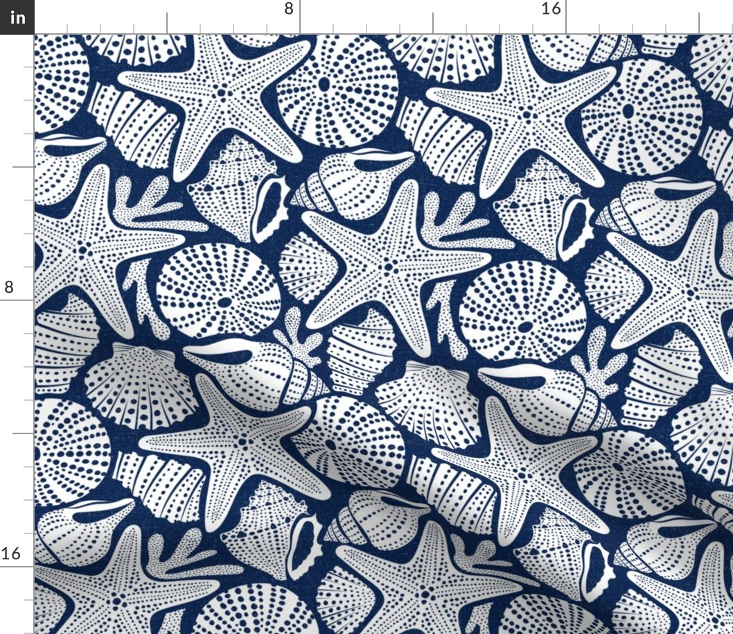 Ocean Floor - Summer Nautical Seashells Navy White Regular