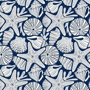 Ocean Floor - Summer Nautical Seashells Navy White Small