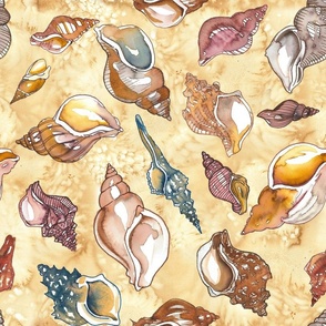 Seashells and Clams on a Sandy Soft Yellow Beach - Loads of Items - Medium Size