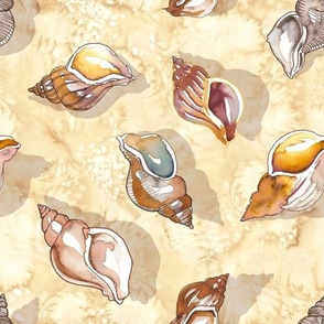 Seashells and Clams on a Sandy Soft Yellow Beach - Medium Size