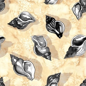 Seashells and Clams in Black and White on a Sandy Soft Yellow Beach - Medium Size