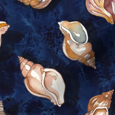 Seashells and Clams on a Sandy Blue Beach - Medium Size