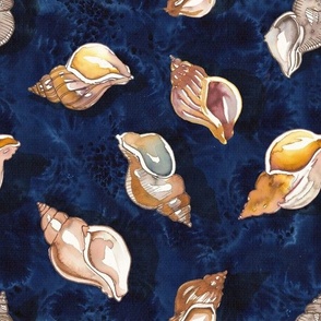 Seashells and Clams on a Sandy Blue Beach - Medium Size
