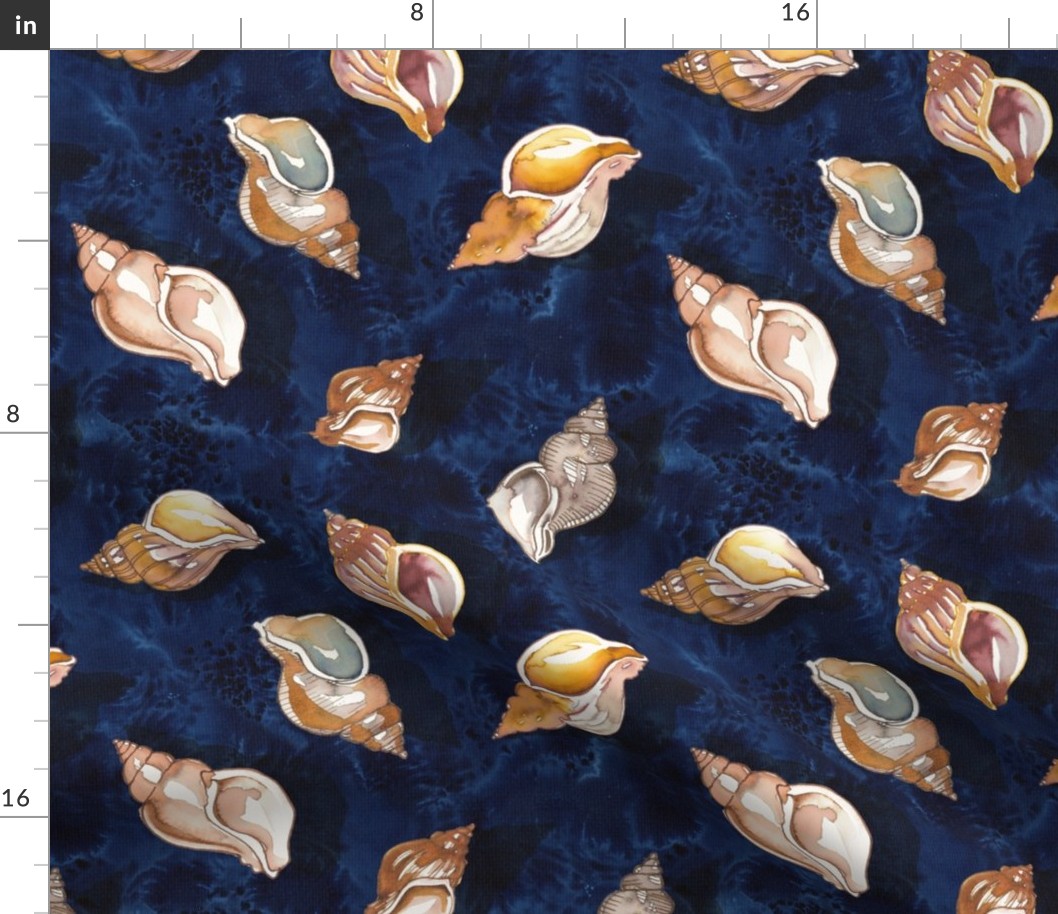 Seashells and Clams on a Sandy Blue Beach - Medium Size