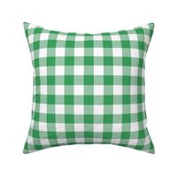 green and white gingham, 1" check