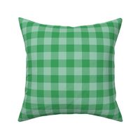 green on green gingham, 1" check