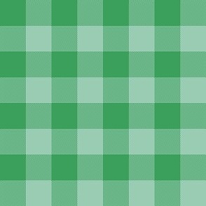 green on green gingham, 1" check