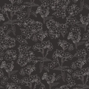 Forget Me Not Flowers Small Scale Cream White on Black