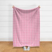 Retro Florals - Complementary Plaids -  White on Pink