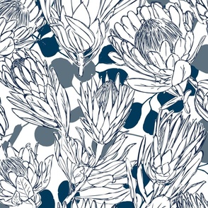 Sketch Protea _ Eucalyptus Navy on White  XL Large Scale