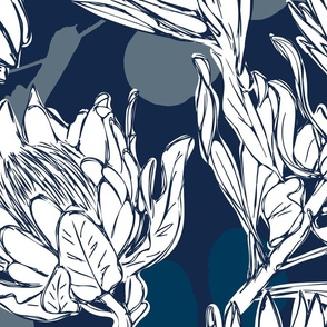 Sketch Protea _ Eucalyptus Navy Xtra Large Scale