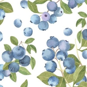 watercolor blueberries - large scale