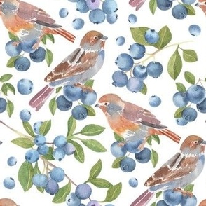 blueberries and birds - small scale