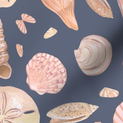 Seashells at the Seashore