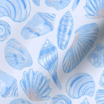 Seashells - Blue