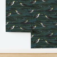 Lapis Teal Blue Spurwinged Plover Wader Seabirds, Sandy Mudflats Seaside Ornithology, Wild River Bed Birds, Common Beach Bird Wall Decor, Annoying Birds Holiday Memories, Flying Sea Animal Wildlife on Forest Green, LARGE SCALE