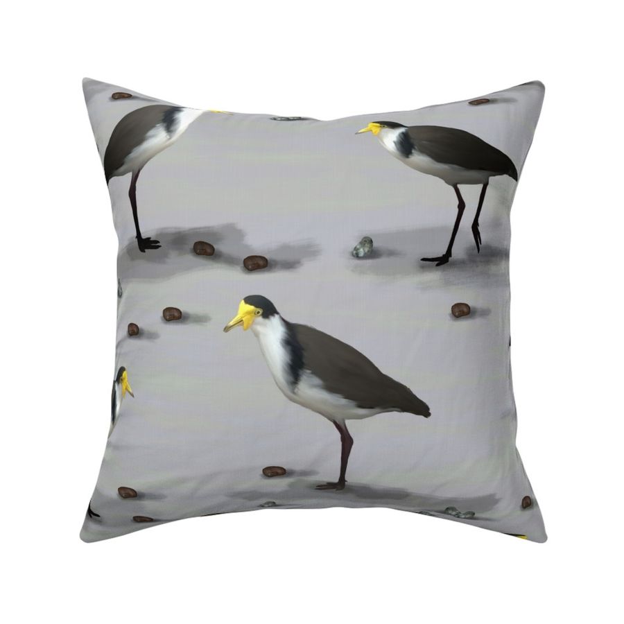 Coastline Pebbles Sandy Beach Bird Habitat, Coastal Black Crown Yellow Head Wetland Lapwing Plover Birds, Beach House Ocean Sea Birds, Silver Chrome Gray Mudflats, New Zealand Birds On Beach, MEDIUM SCALE