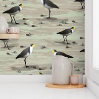 Little Brown Yellow Birds Wall Decor, Saffron Yellow Beaked Masked Plover, Sandy Beach Native Lapwing Birds, Charcoal Gray Mudflats, Small Beach Swooping Plover on Textured Green Background, LARGE SCALE