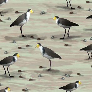 Little Brown Yellow Birds Wall Decor, Saffron Yellow Beaked Masked Plover, Sandy Beach Native Lapwing Birds, Charcoal Gray Mudflats, Small Beach Swooping Plover on Textured Green Background, LARGE SCALE