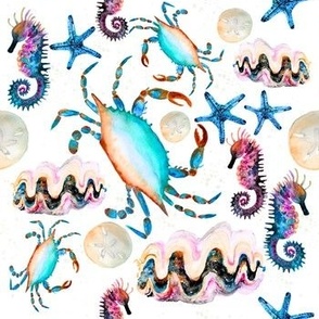 Medium Under the Sea Creatures / Crab / Seahorse / Starfish / Fish / Watercolor