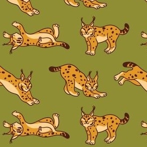 Wildcat lynx_khaki