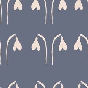 SNOWDROPS STEEL BLUE 2024