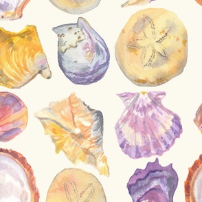 Shell Collection