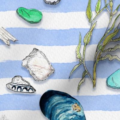 Tideline Treasures | Beachcombing | Shells, Seaglass, Driftwood, Seaweed, Pebbles | Coastal Stripe
