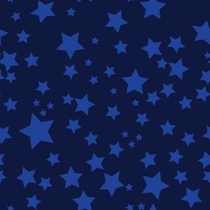 Gazillion Stars-Midnight Flyer Navy-Cascade Twilight Blue-The RWB Palette