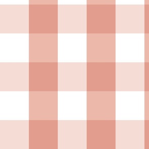 Gingham Pink