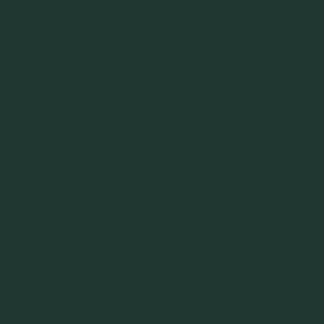 Evergreen Plain Solid Color 203731