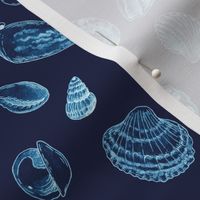  Seashells Watercolor blue inverted