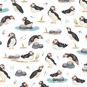 Watercolour Puffins on Rocks