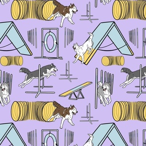 Simple Siberian Husky agility dogs - purple