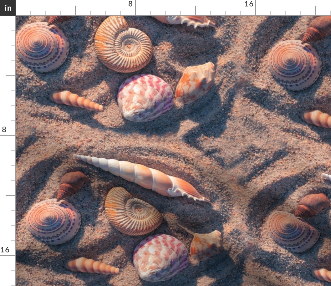 Seashell Collection in Sand Near Sunset Horizontal Format