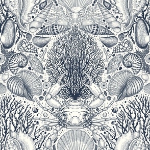 Beach treasures, seashells, crab, corals and seaweeds in navy on natural white