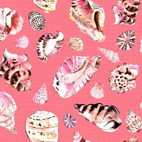 Beach Shells sandy pink L