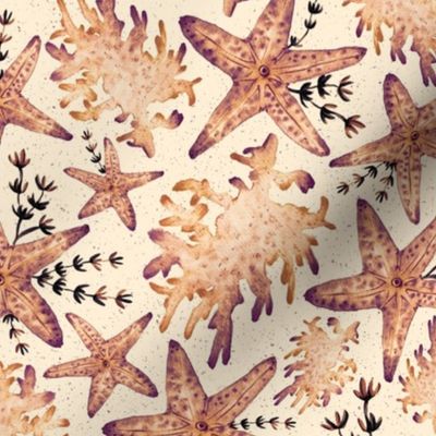 Starfish and Corals -  A Trip to the Beach - Sand Texture
