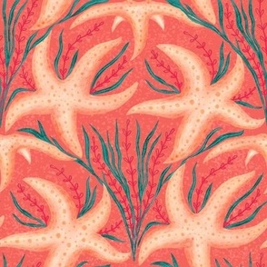 Starfish in coral