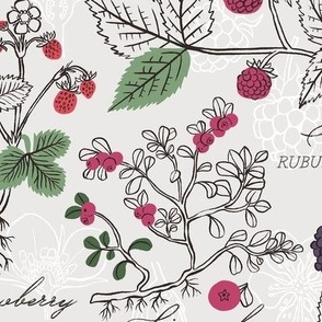 L / Forest Berries Botanical Illustration