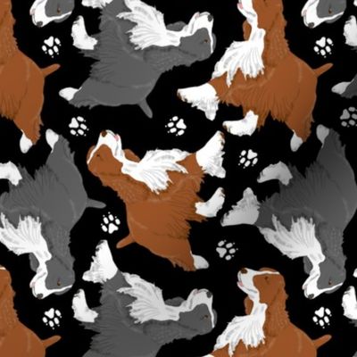 Trotting Springer Spaniels and paws - black