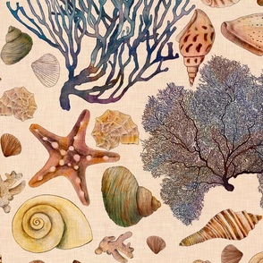 Large scale treasures of the sea such as shells, starfish and corals 